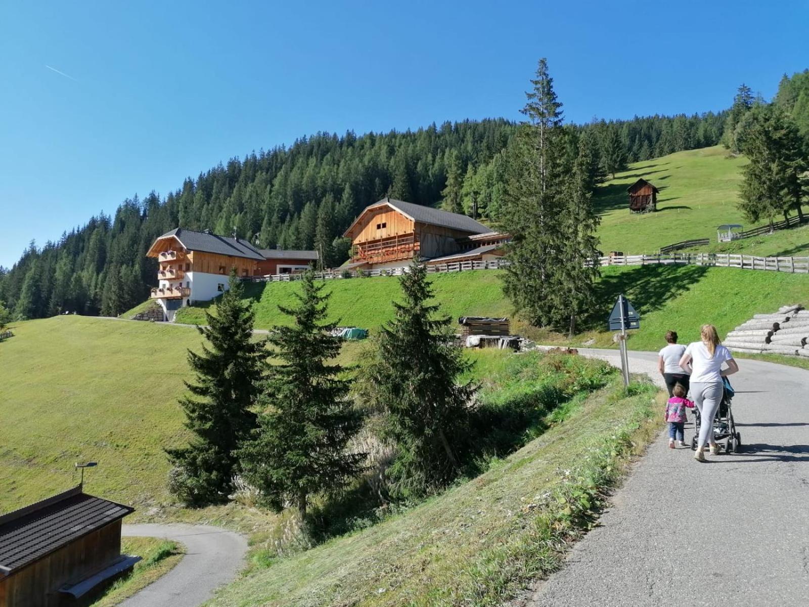 Agriturismo Luech Picedac Ла-Валле Экстерьер фото